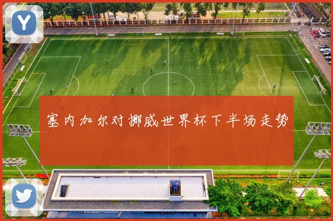 塞内加尔对挪威世界杯下半场走势