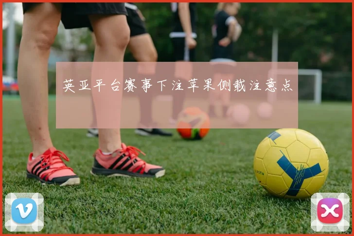 英亚平台赛事下注苹果侧载注意点