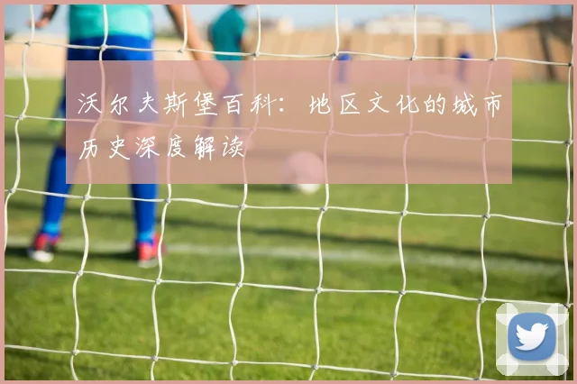 沃尔夫斯堡百科：地区文化的城市历史深度解读