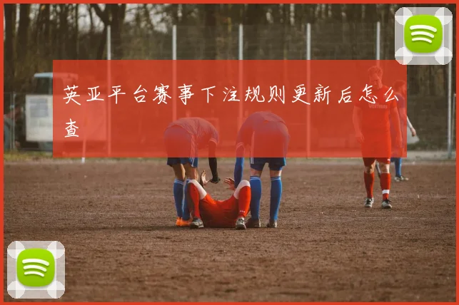 英亚平台赛事下注规则更新后怎么查